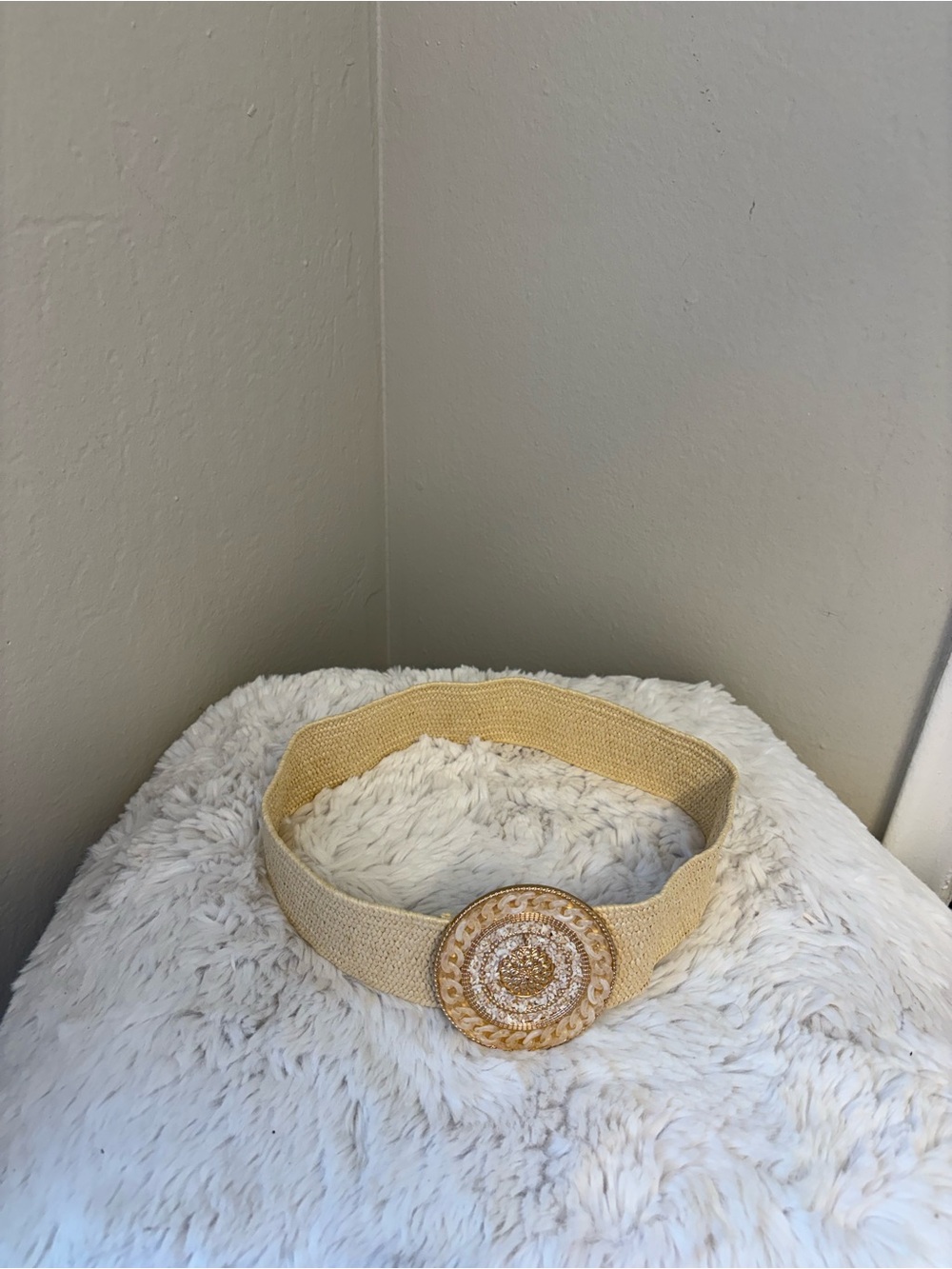 Neutral Braided Stretch Belt with Decorative Gold-Tone Medallion
